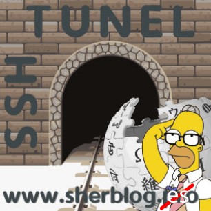 Usando un tunel ssh para aceder a un servidor remoto