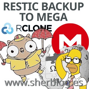 Backups en la nube con Restic